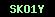 cod securitate