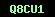 cod securitate