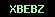 cod securitate
